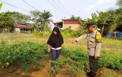 Dukung Ketahanan Pangan, Bhabinkamtibmas Sambang DDS Tanaman Sayuran di Kecamatan Ketahun 