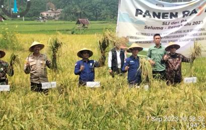 Kapolsek Talo Hadiri Pemberdayaan Petani dan Panen Raya di Sawah Lebar Kelurahan Masmambang 