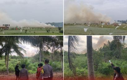 Kebakaran Terjadi di Lahan Persawahan Kawasan Sidomulyo