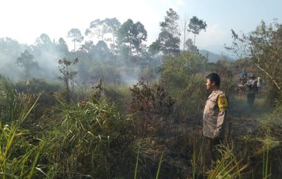 Kapolsek Rimbo Pengadang Monitoring Kebakaran Lahan di Kelurahan Rimbo Pengadang