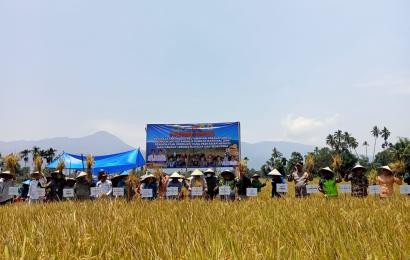 Bhabinkamtibmas Polsek Lebong Selatan Hadiri Panen Perdana MT2 di Desa Talang Leak I