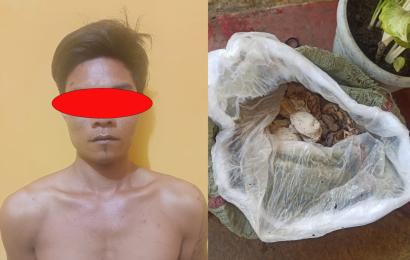 Curi Getah Karet, Warga Lebong Diamankan Polisi