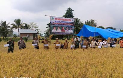 Kapolsek Lebong Utara Hadiri Panen Raya MT2 di Desa Nangai Tayau