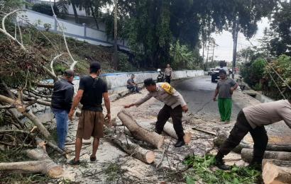 Personel Polsek Teluk Segara Evakuasi Pohon Tumbang 