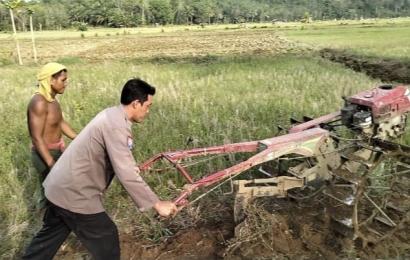 Dukung Ketahanan Pangan, Bhabinkamtibmas Ikut Membajak Sawah