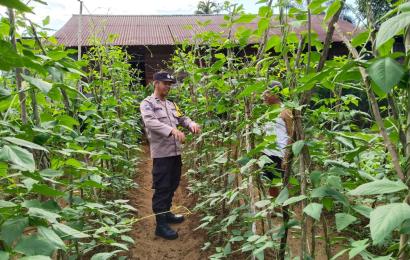Bhabinkamtibmas Polsek Ketahun Sambang Warga Tanaman Pangan Lestari di Desa Giri Kencana 