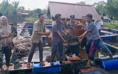 Bhabinkamtibmas Polsek Kota Manna Hadiri Giat Panen Ternak Ikan dalam Kerambah Apung di Desa Binaan