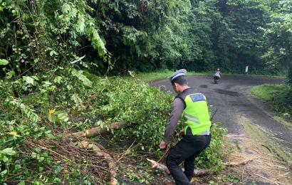 Respon Cepat, Satlantas Polres Kepahiang Evakuasi Pohon Tumbang