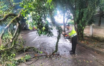 Personel Satlantas Evakuasi Pohon Tumbang di Kelurahan Pasar Baru