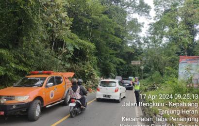 Dapati Laporan Dari Masyarakat Terkait Adanya Pohon Tumbang, Satlantas Polres Kepahiang Datangi dan Evakuasi Pohon Tumbang