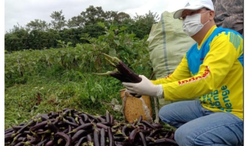 Tidak Ingin Kondisi Petani Terpuruk, Gubernur Borong 6 Ton Hasil Pertanian