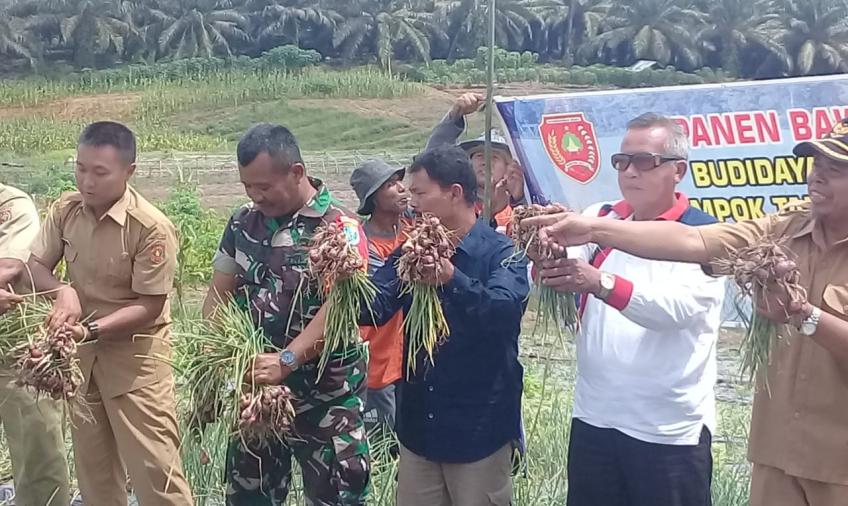 Nasional
