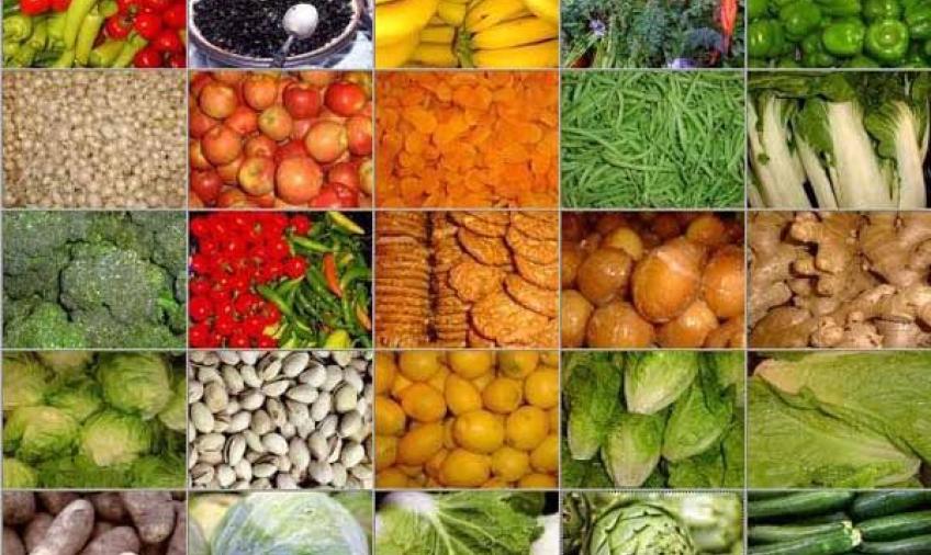 Hortikultura Bengkulu