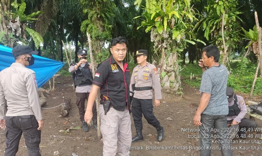 Lokasi Sabung Ayam