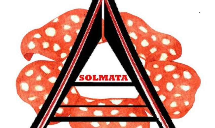 Solidaritas 