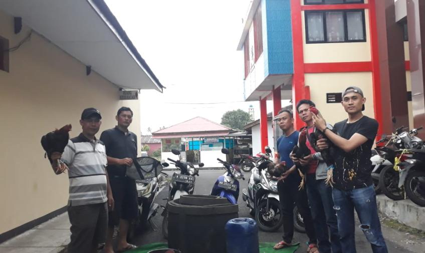 Polisi mengamankan barang bukti Sambung