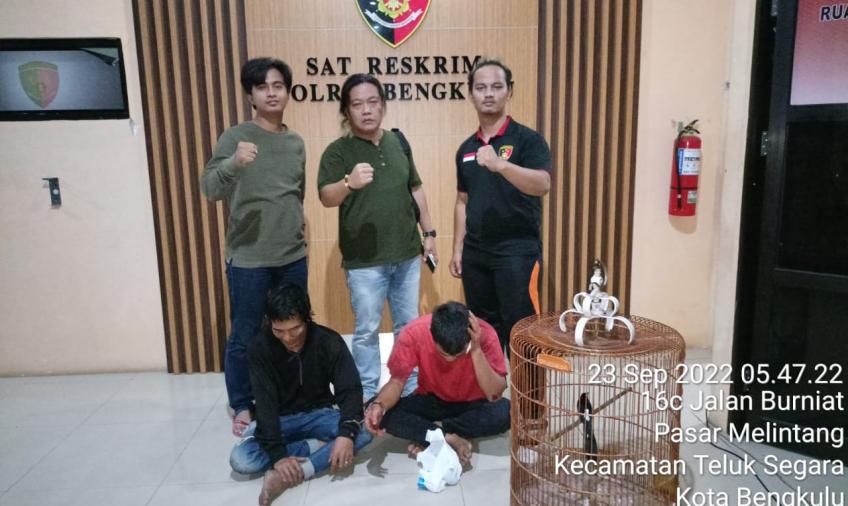 Dua terduga pelaku berhasil ditangkap