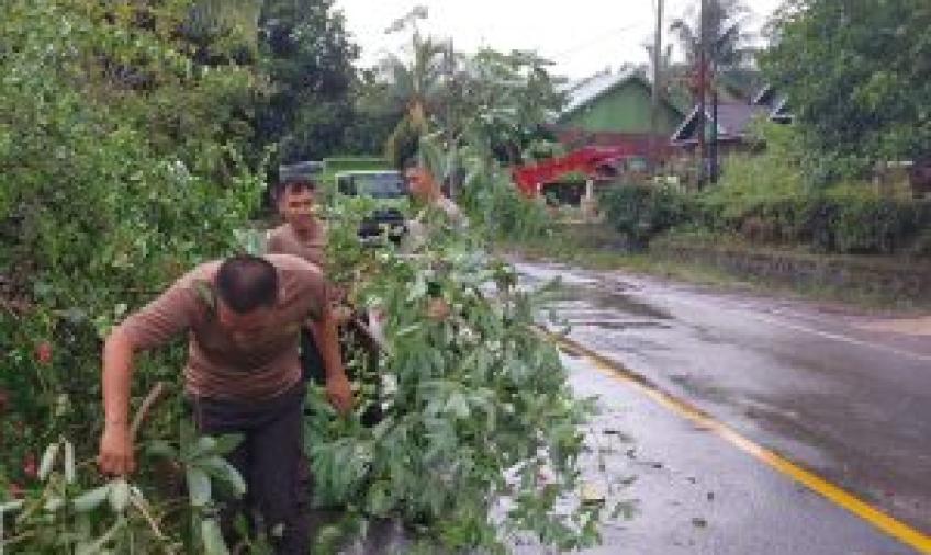 Polisi dan Warga Gotong Royong Evakuasi Pohon Tumbang di Jalan Lintas Bengkulu-Kepahiang