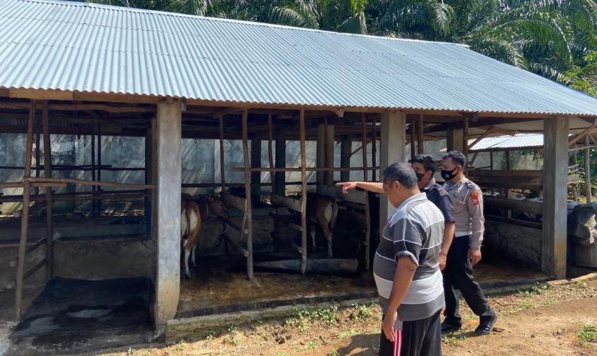 Polres Seluma Cek Kesehatan dan Kebersihan Hewan Ternak