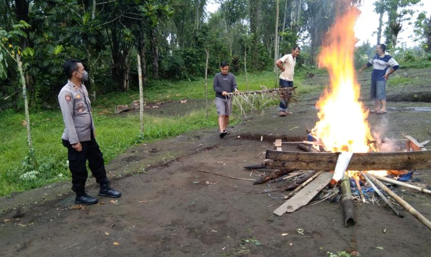 Polsek Curup Bongkar dan Bakar Tempat Judi Sabung Ayam
