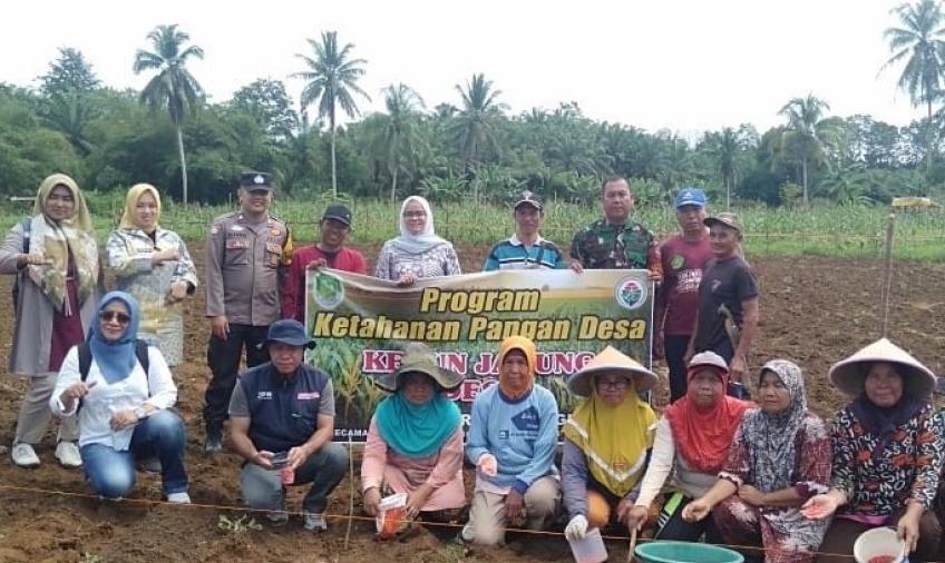 Bhabinkamtibmas Polsek Karang Tinggi Tanam Jagung Bersama Warga