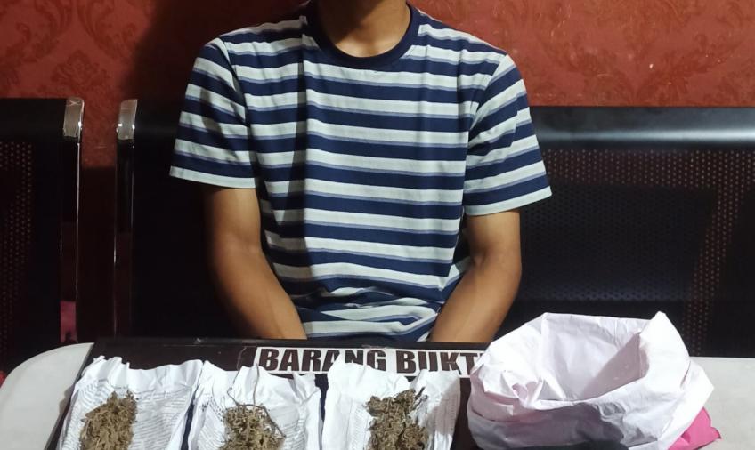 Terduga pelaku