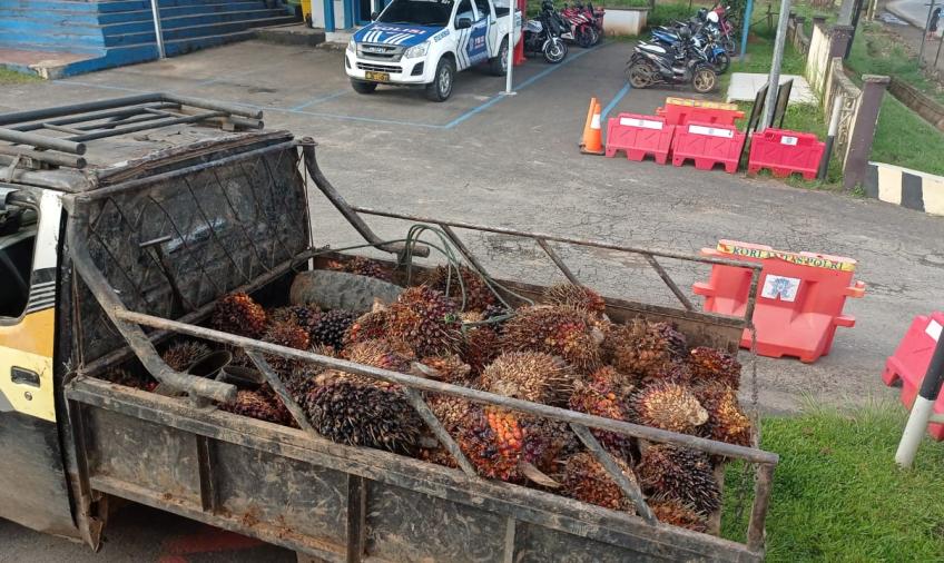 Satreskrim Polres Bengkulu Tengah Polda Bengkulu 