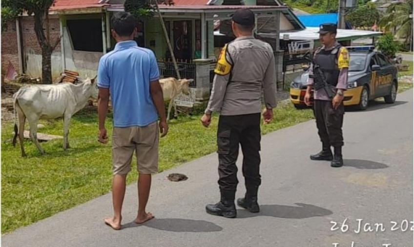 Polsek Kaur Tengah Imbau Warga Kandangkan Hewan Ternak dan Lakukan Vaksinasi Cegah PMK
