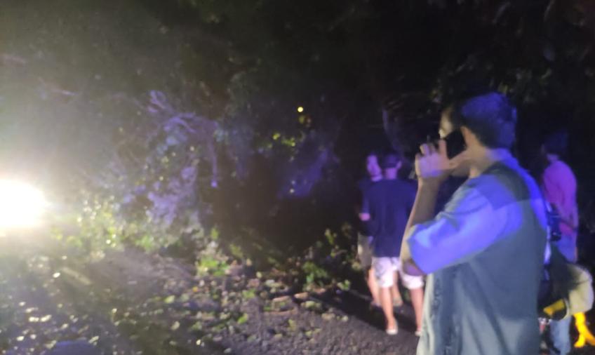 Personel Polsek Kota Manna Evakuasi Pohon Tumbang di Jalan Lintas Manna - Pagar Alam