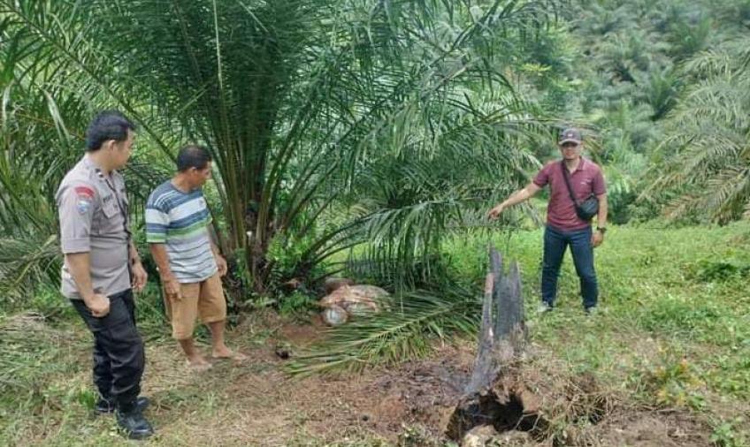 Bhabinkamtibmas  Cek Lokasi Pencurian Ternak Warga Desa Kembang Manis Bengkulu Utara