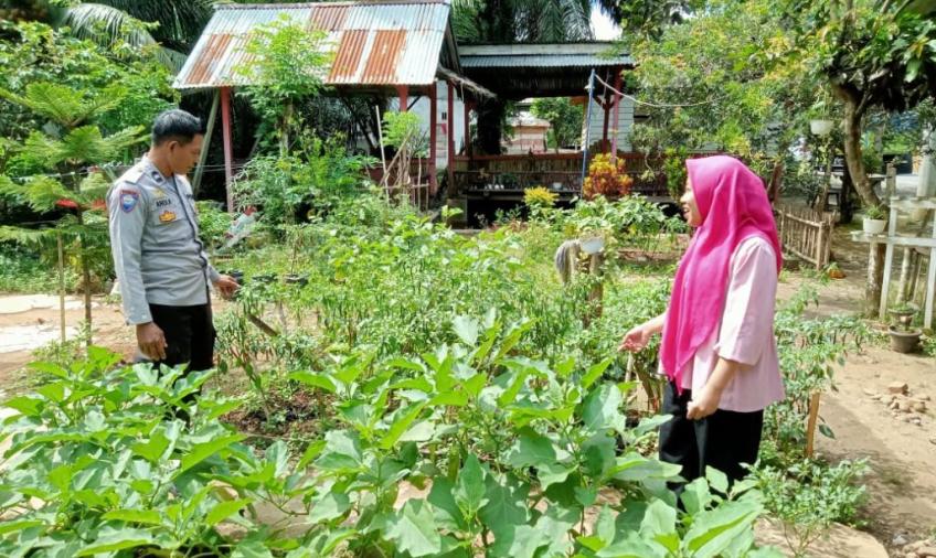 Dukung Ketahanan Pangan, Bhabinkamtibmas Polsek Batik Nau Sambangi Kebun Warga