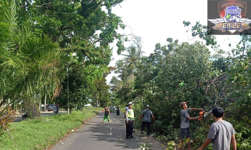 Cegah Laka Lantas, Polresta Bengkulu Gelar Pengaturan Dilokasi Pohon Tumbang