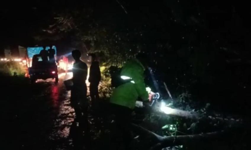 Respon Cepat, Personel Polsek Air Besi Evakuasi Pohon Tumbang