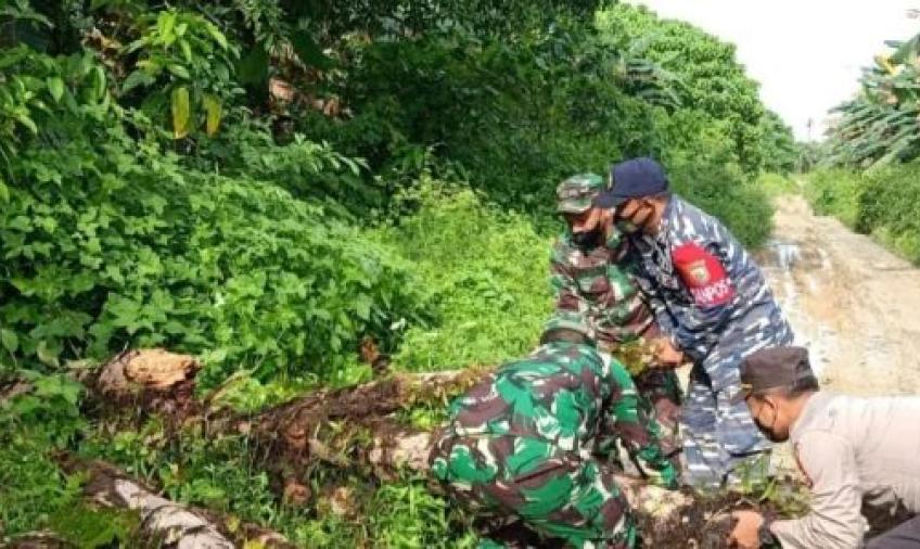 Sigap, TNI-Polri Bersihkan Pohon Tumbang di Jalan Desa Kaana Kecamatan Enggano