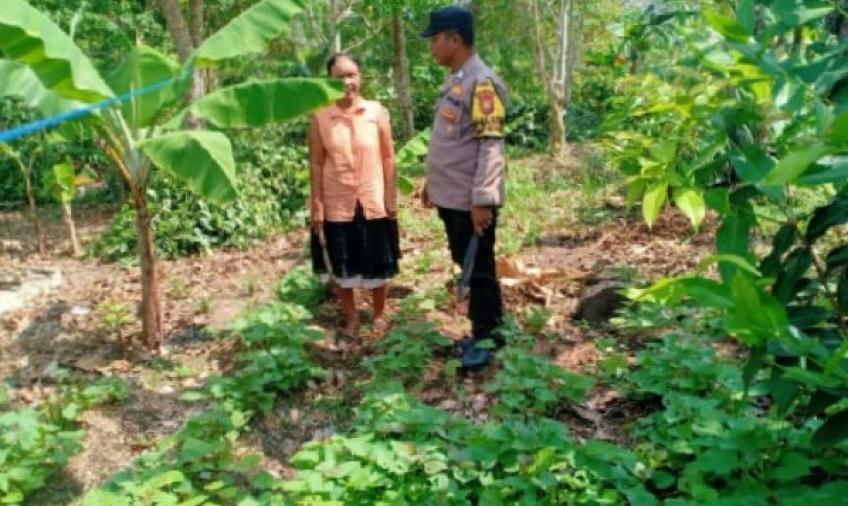 Bhabinkamtibmas Polsek Enggano Tinjau Lahan Program Ketahan Pangan 