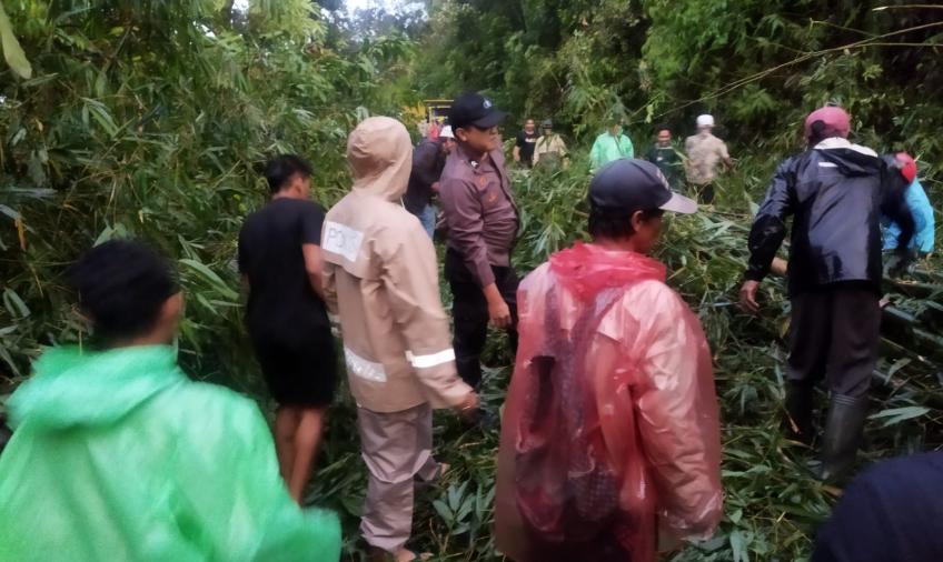 Terkini di Rimbo Pengadang: Tanah Longsor dan Pohon Tumbang