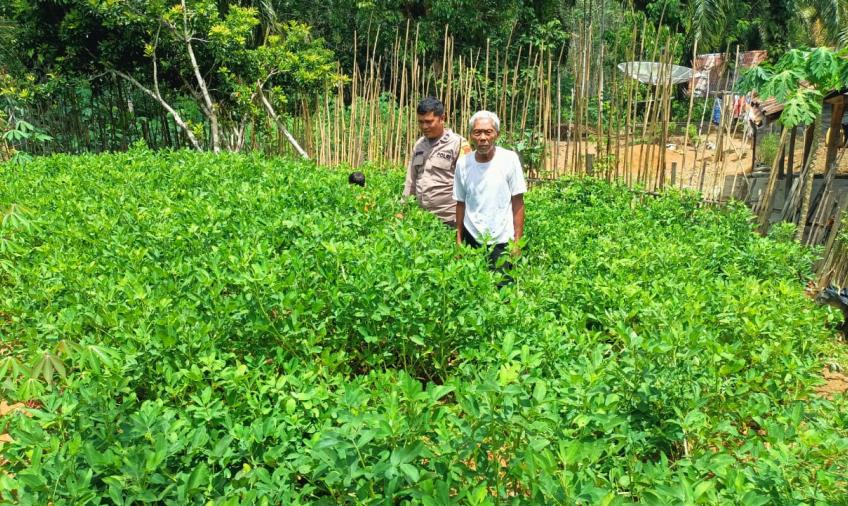 Sambang Warga Tanaman Pangan Lestari Bhabinkamtibmas Polsek Giri Mulya turun langsung Ke Desa