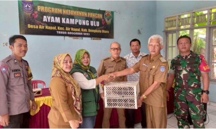 Wujudkan Ketahanan Pangan, Kades Air Napal Bagikan Bibit Ayam