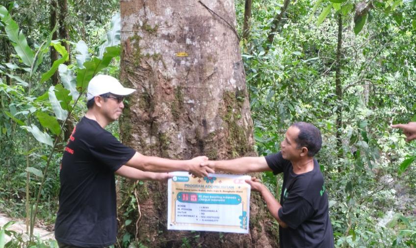 Bupati Bengkulu Utara Wajibkan OPD Asuh Pohon di Hutan Desa Lemo Nakai