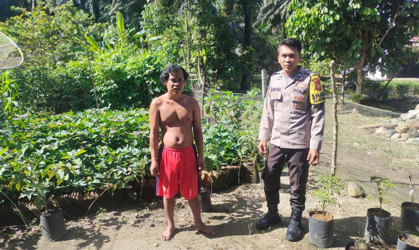 Dukung Ketahanan Pangan Nasional, Bhabinkamtibmas Polsek Putri Hijau Melaksanakan Sambangi dan Cek Tanaman Holtikultura Warga