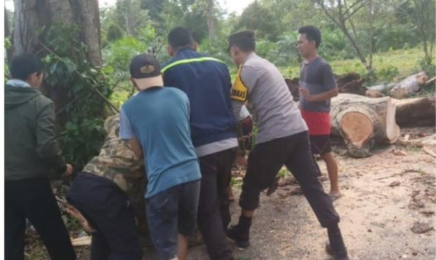 Bersama Warga, Personel Polsek PUT Gotong Royong Membersihkan Pohon Tumbang