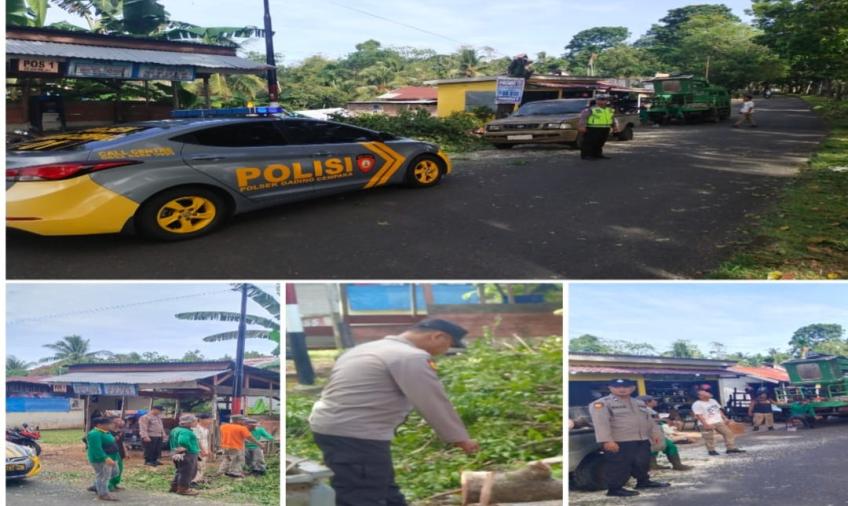 Penebangan Pohon Dijalan Jenggalu, Polsek Gading Cempaka Lakasanakan Pamuturlalin  