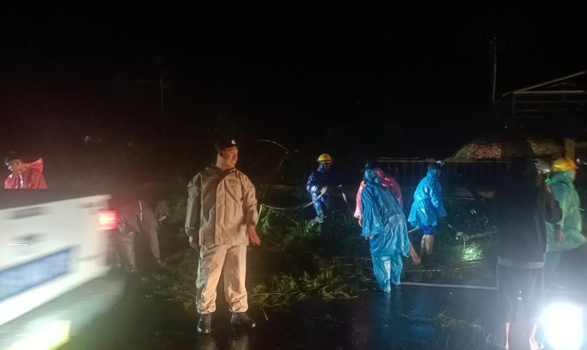 Polres Kepahiang Datangi TKP Pohon Tumbang dan Tiang Listrik Roboh