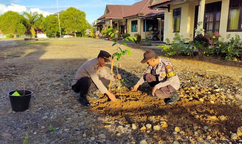 Kapolsek Padang Jaya Tanam Pohon Gaharu, Cegah Pemanasan Global 