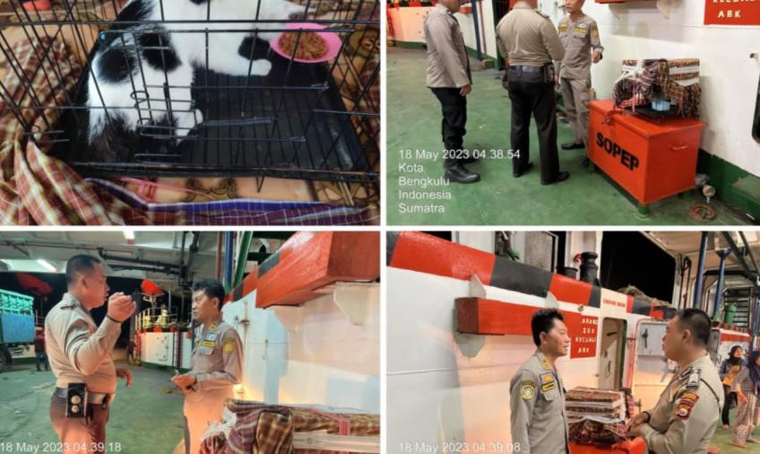 Personel Polsek KSKP Pulai Baai Lakukan Pendapingan Instansi Karantina Terhadap Penyelundupan Kucing