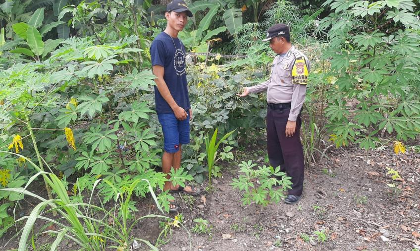 Polisi Sahabat Petani, Bhabinkamtibmas Polsek Enggano Sambang Warga Binaannya