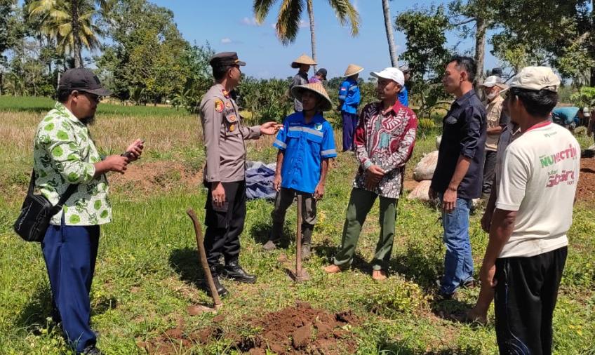 Kapolsek Padang Jaya Turun Ke Pinggiran Sawah, Pastikan Program Ketahanan Pangan Berjalan