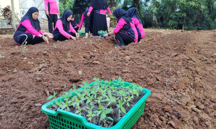 Pembina Bhayangkari Padang Jaya Dukung Program Ketahanan Pangan Nasional