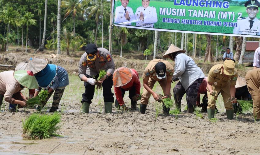 Kapolres dan Bupati Lebong Launching Tanam MT2 di Desa Magelang
