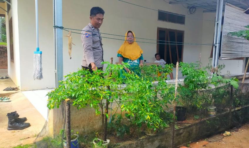 Dukung Ketahanan Pangan, Bhabinkamtibmas Sharing dengan Warga tentang Budidaya Cabe 